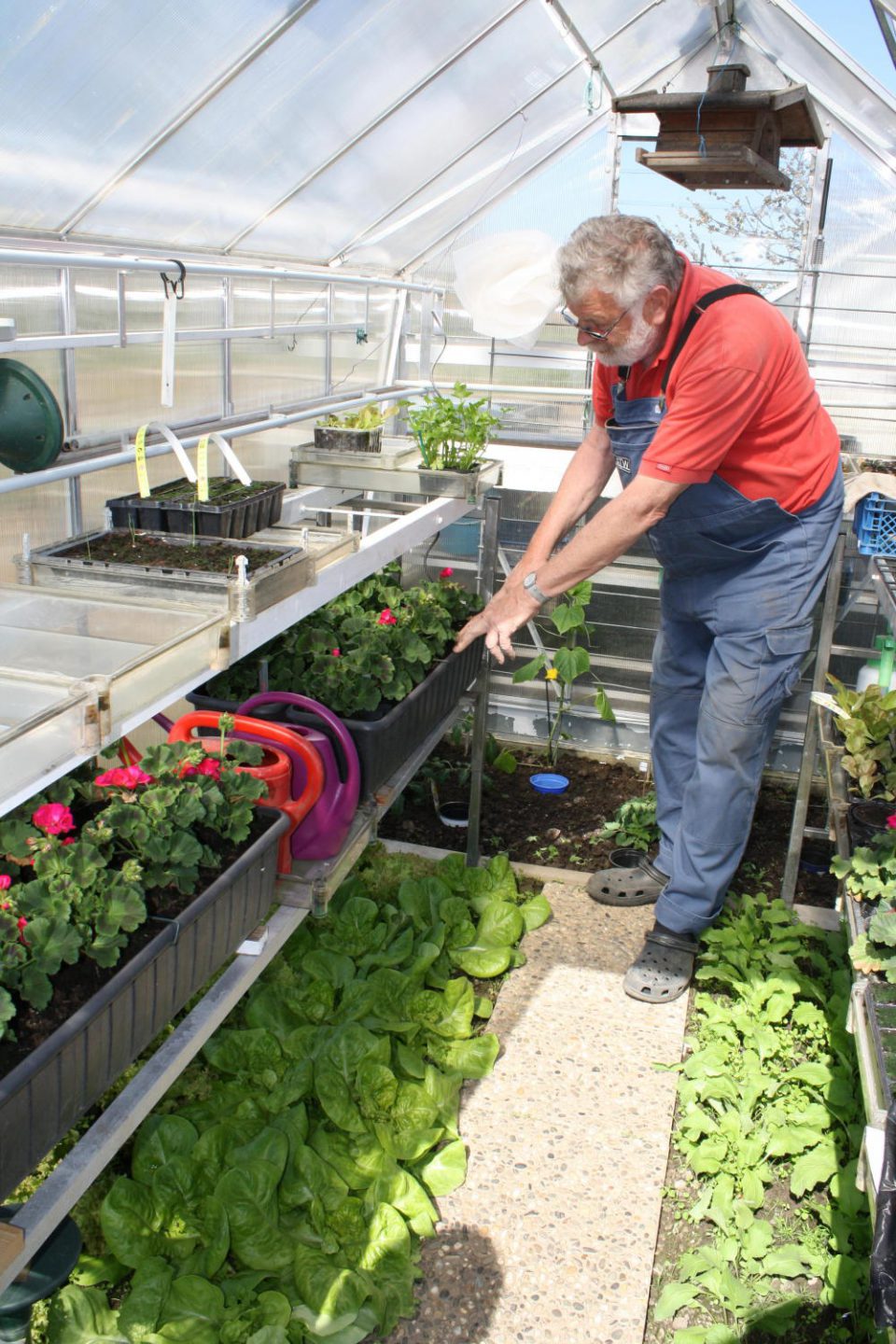 125 Jahre OGV Okarben